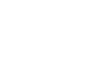 Jazz Joy Spring